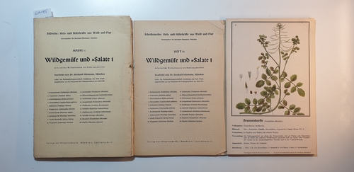 Hörmann, Bernhard (Hrsg.)  Wildgemüse und Salate 1. Bildreihe: Heil- und Nährkräfte aus Wald und Flur Heft 1. mit 20 Tafeln 