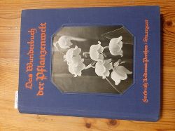 Closson Kenly, Julie (bearbeitet)  Das Wunderbuch der Pflanzenwelt. Die schnste Einfhrung in das grne Wunder der Natur 