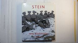 Goldsworthy, Andy  Stein 