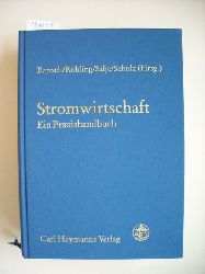 Bartsch, Michael [Hrsg.]  Stromwirtschaft : ein Praxishandbuch 