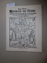Hersbach, Caspar  Kurtzer Discurs, darinnen die Natur, Lauff und Bedrwung des Cometen, so anno 1618 im Decembri erschienen physice und astrologice verzeichnet wird 