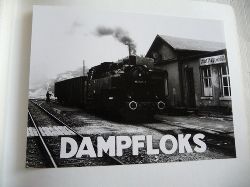 B. Mengghaus  Privates Photoalbum mit Dampfloks mit 26 SW-Photos in 24x18cm 