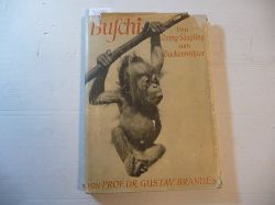 Brandes, Professor Dr. G.  Buschi - Vom Orang- Sugling zum Backenwlster 