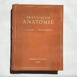 Levin, Ernst ; Wachsmuth, Werner   Praktische Anatomie, Erster Band / Dritter Teil: Arm 
