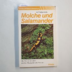Groe, Wolf-Rdiger  Molche und Salamander : [die "Drachen der Urzeit" - attraktive Pfleglinge fr unser Terrarium] 