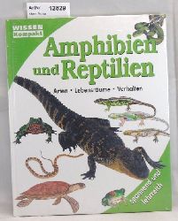 Ohne Autor  Amphibien und Reptilien. Arten, Lebensrume, Verhalten 