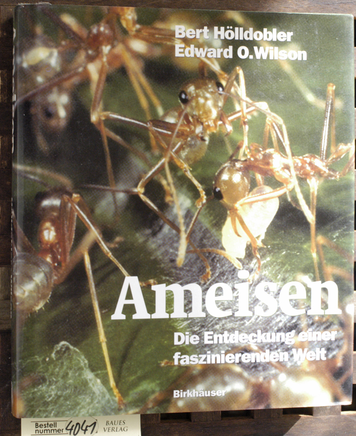 Hölldobler, Bert und Edward O. Wilson.  Ameisen : die Entdeckung einer faszinierenden Welt Aus dem Amerikan. von Susanne Böll 