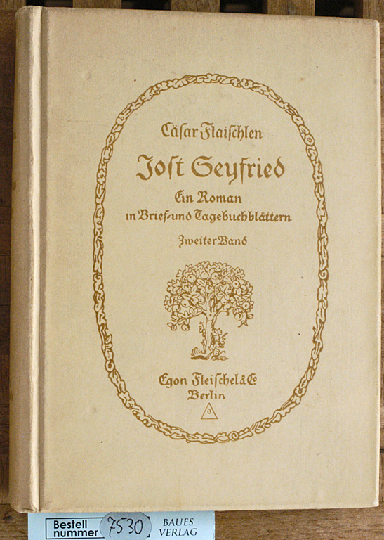 Cäsar Flaischlen.  Jost Geyfried. Zweiter Band Ein Roman in Brief- und Tagebuchblättern 