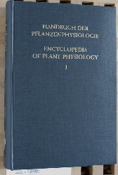Ruhland, W. [Hrsg.].  Handbuch der Pflanzenphysiologie. Band I ( 1 ). Encyclopedia of Plant Physiology. Vol. I. 