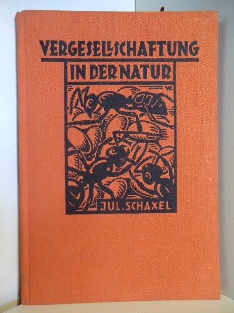 Schaxel, Julius:  Vergesellschaftung in der Natur. 