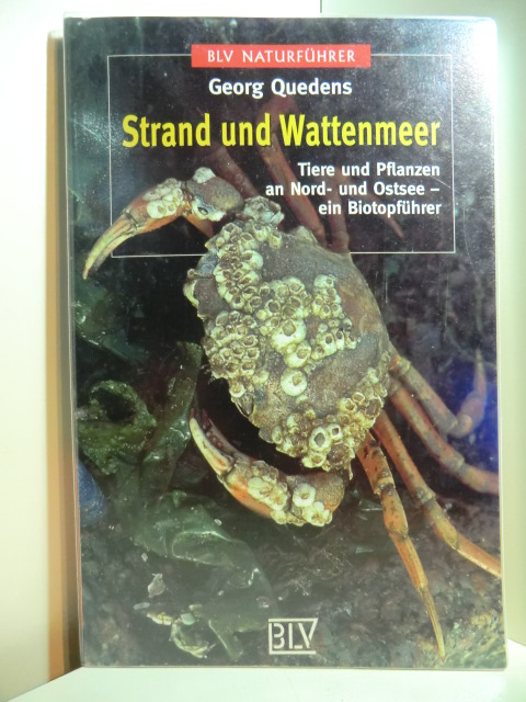Quedens, Georg:  Strand und Wattenmeer. Tiere und Pflanzen an Nord- und Ostsee. Ein Biotopführer. BLV-Naturführer 