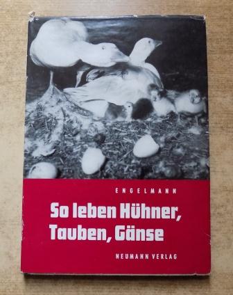 Engelmann, C.  So leben Hühner, Tauben, Gänse. 