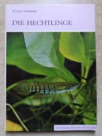Neumann, Werner  Die Hechtlinge. 