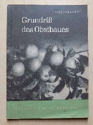 Hilkenbumer, Friedrich  Grundri des Obstbaues. 