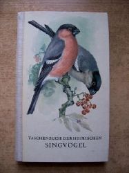 Creutz, Gerhard  Taschenbuch der heimischen Singvgel. 