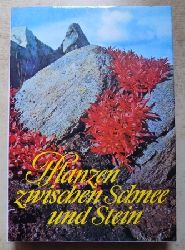 Meusel, Walter und Joachim Hemmerling  Pflanzen zwischen Schnee und Stein - Ein Wegweiser fr Wanderer, Grtner und Botaniker. 