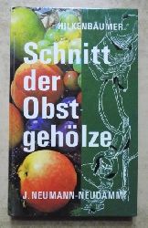 Hilkenbumer, F.  Schnitt der Obstgehlze. 