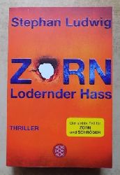 Ludwig, Stephan  Zorn - Lodernder Hass - Thriller. Der siebte Fall fr Zorn und Schrder. 