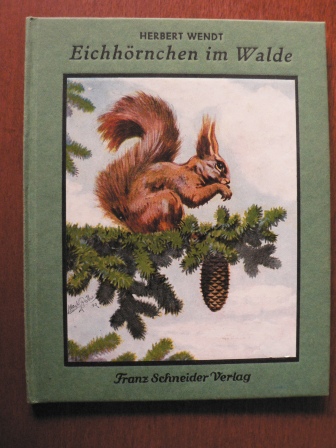 Herbert Wendt/Moritz Pathé (Illustr.)  Eichhörnchen im Walde 