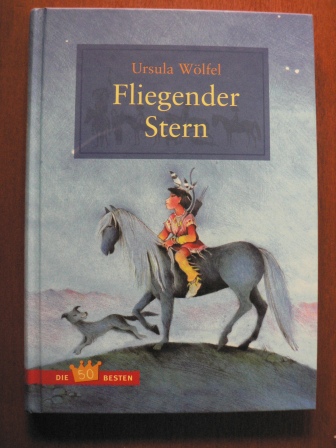 Ursula Wölfel/Bettina Anrich-Wölfel & Heiner Rothfuchs (Illustr.)  Fliegender Stern 