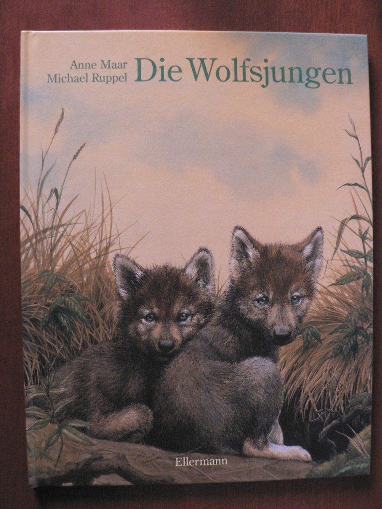 Maar, Anne/Ruppel, Michael (Illustr.)  Die Wolfsjungen 