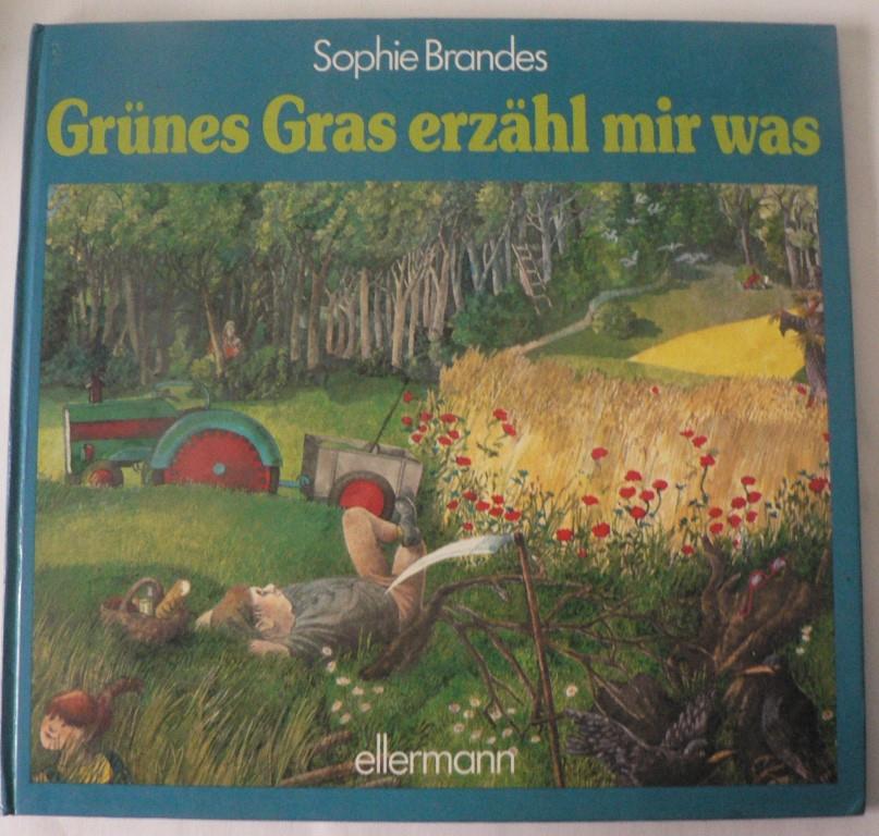 Brandes, Sophie  Grünes Gras erzähl mir was. Geschichten von zwölf Monaten 
