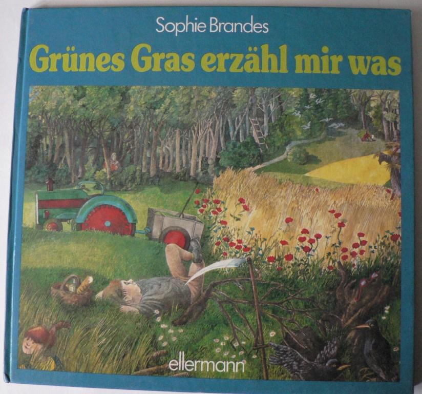 Brandes, Sophie  Grünes Gras erzähl mir was - Geschichten von zwölf Monaten 