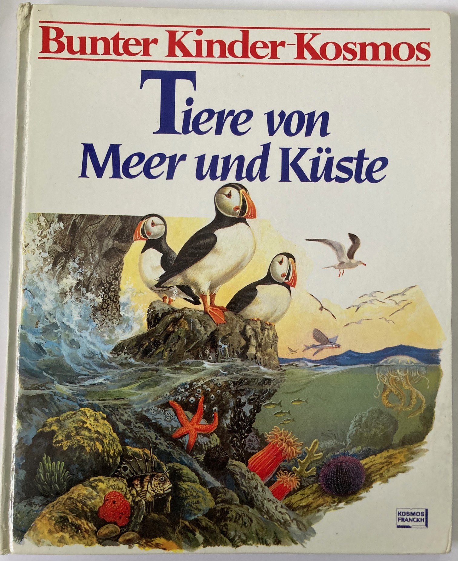 D'Ami, Rinaldo D./Unterreiner, Ingeborg  Bunter Kinder-Kosmos: Tiere von Meer und Küste 
