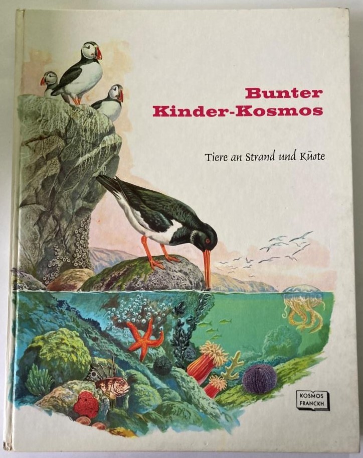 Rinaldo D. D`Ami/Ingeborg Unterreiner (Übersetz.)  Bunter Kinder-Kosmos: Tiere an Strand und Küste 