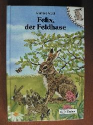 Arold, Marliese/Zink-Pingel, Elisabeth  Tiere erleben und verstehen: Felix, der Feldhase (Groschrift) 