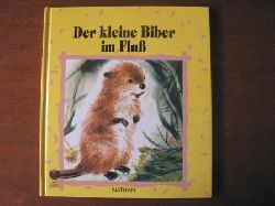 Romain Simon (Illustr./Text)/Kraus publicit (bersetzung)  Der kleine Biber im Flu 