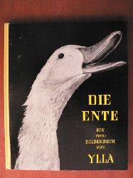 Ylla/Margaret Wise Brown (Text)/Holle Kuschel (bersetz.)  Die Ente - ein Fotobilderbuch von Ylla 