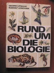 Georg Litsche/Rudolf Loschan/Johannes Breitmeier (Illustr.)  Rund um die Biologie 