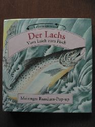 Hawcock, David  Der Lachs. Vom Laich zum Fisch. Meisinger Rundum-Pop-up 