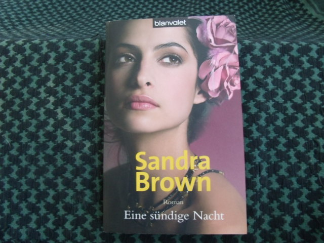 Brown, Sandra  Eine sündige Nacht 