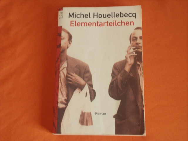 Houellebecq, Michel  Elementarteilchen 