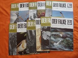   Der Falke. Monatsschrift fr Ornithologie und Vogelschutz. Jahrgang 22, 1975. 