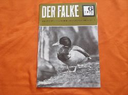   Der Falke. Monatsschrift fr Ornithologie und Vivarienkunde. Ausgabe A. Jahrgang 18, 1971. Heft 6. 