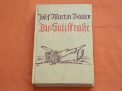 Bauer, Josef Martin  Die Salzstrae 