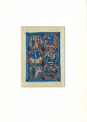 diverse  farbige miniatur mit blattgold aus der gotischen bilderbibel. 