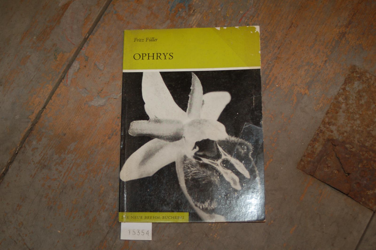Füller Fritz  Ophrys 