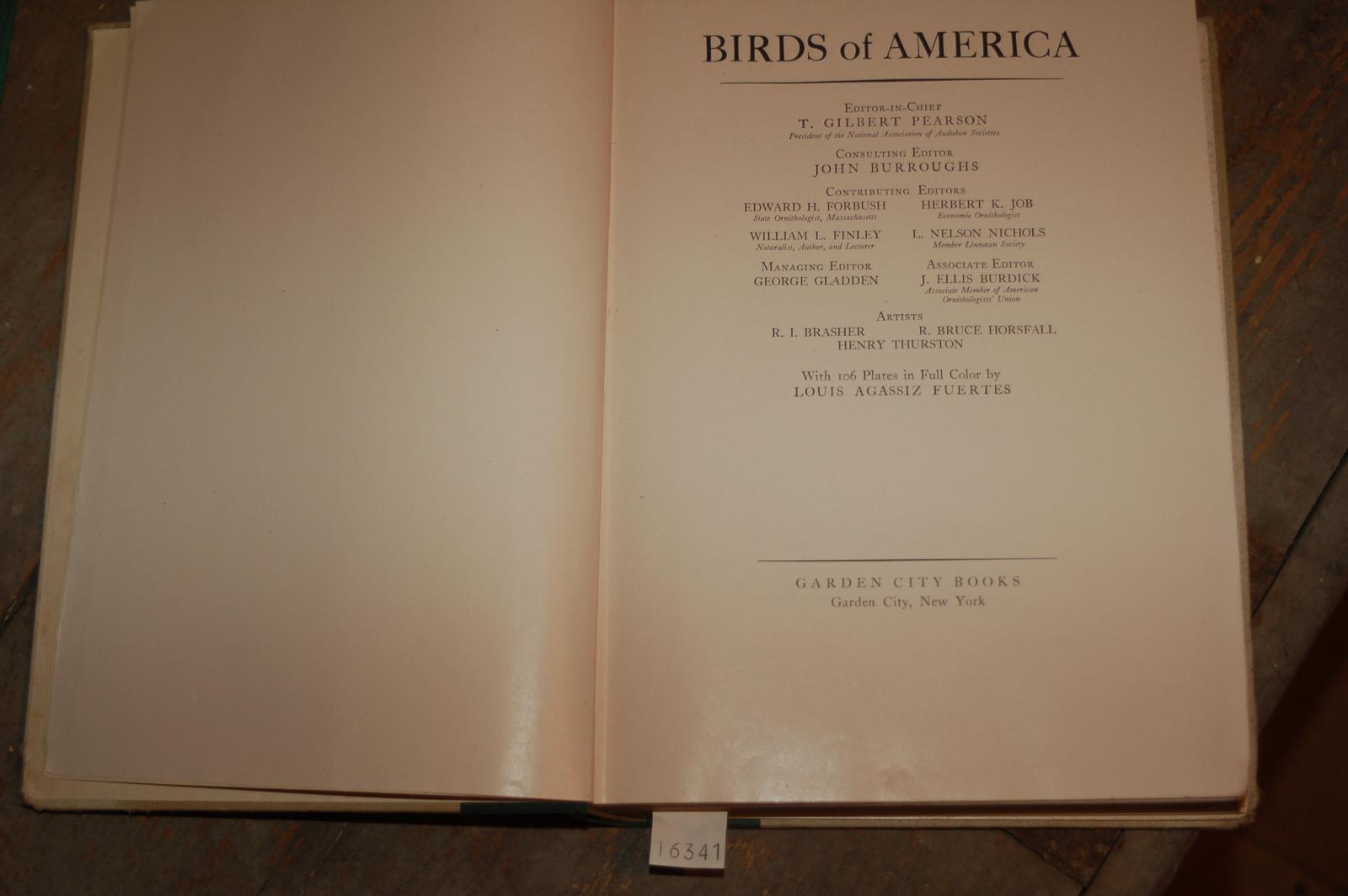 Pearson Gilbert  Birds of America 