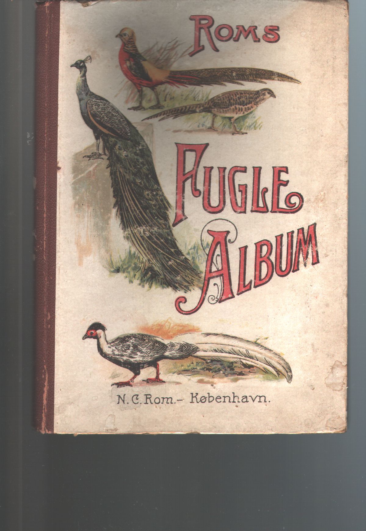 Rom  Fugle - Album (Vogelbildband mit 239 farb. Abb. auf 30 Tafeln) 