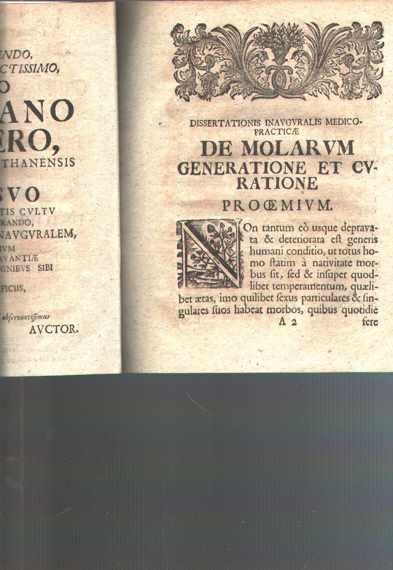 Johannes Fridericus Speer  Dissertatio Inauguralis Medico - Practica  De Molarum generatione et curatione ... Rectore DN. Tobia Jac. Reinhartho ... Praesidio DN. D. Hermanni Pavlijuchii ... 
