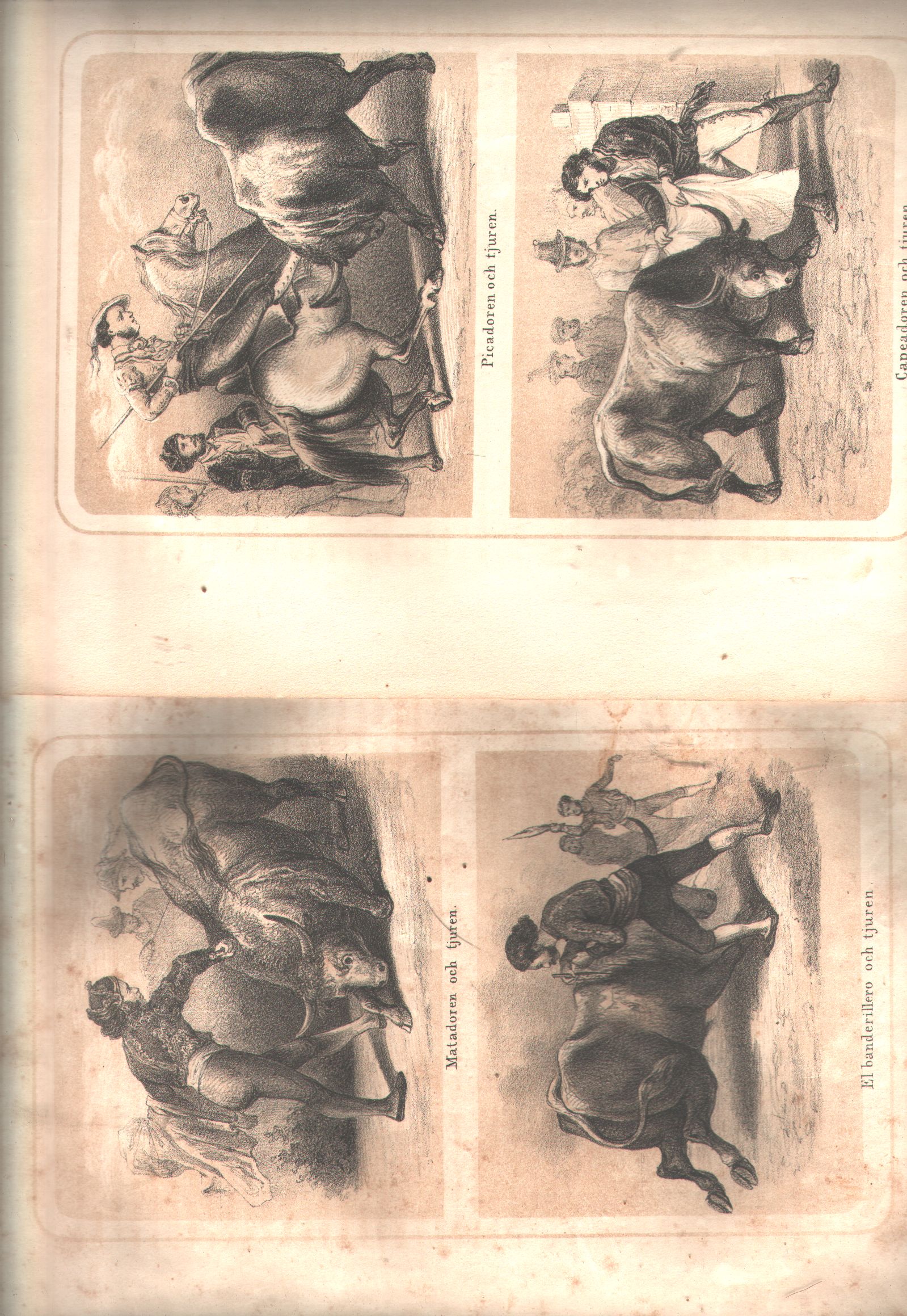 Manual de Cuendas, V. de Ferral  2 lithographierte getönte Tafeln mit 4 Abb. zum spanischen Stierkampf zeigt Matador, Picador, Capedor und  Banderillo 