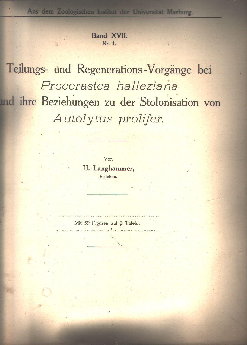  Langhammer, Hertiling Käntler  Wissenschaftliche Meeresuntersuchungen Abt. Helgoland Band 17, Nr. 1 - Nr.3 