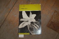 Füller Fritz  Ophrys 