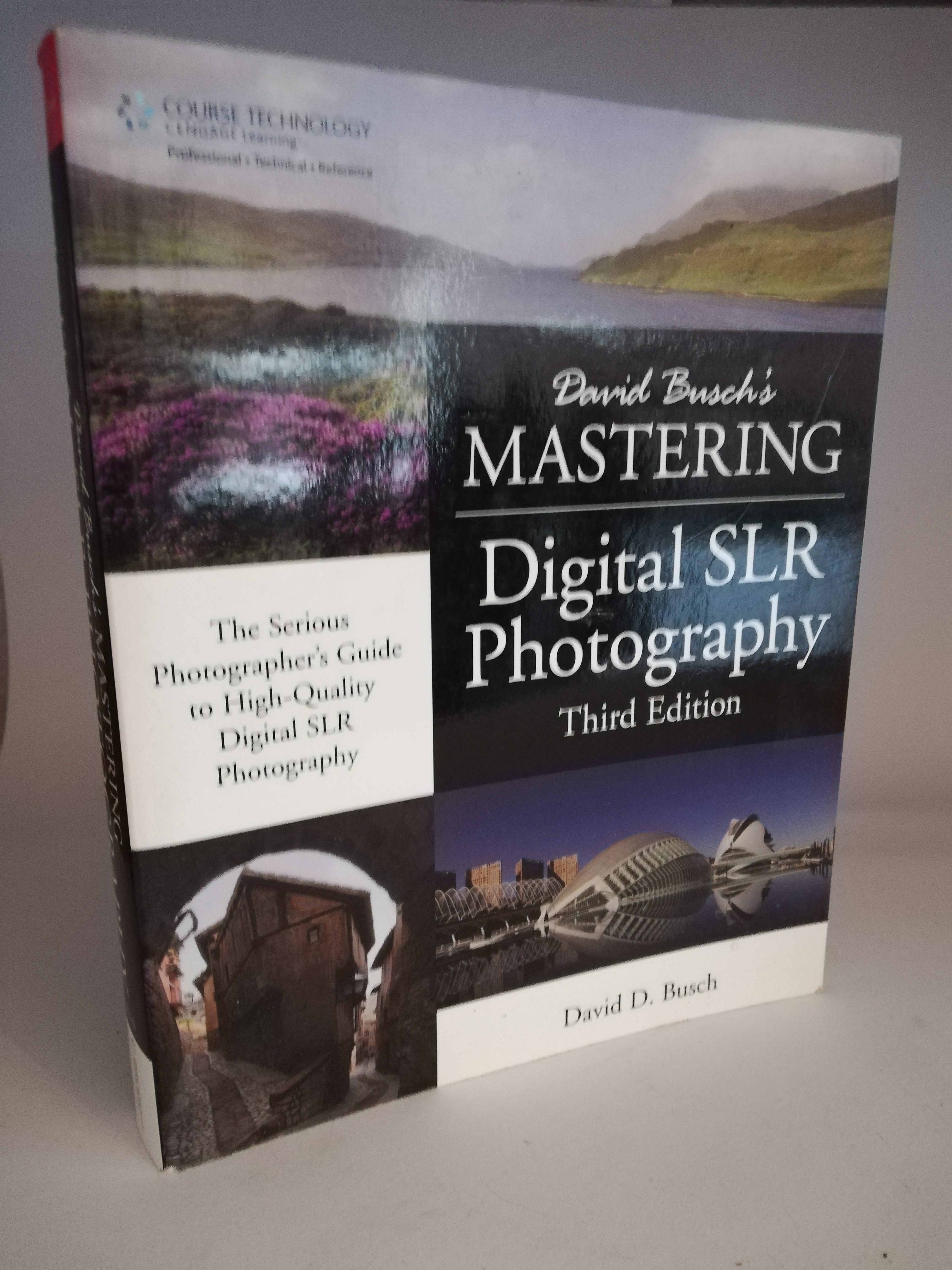David Busch  Mastering Digital SLR Photography. The Serious Photographer's Guide to High-Quality Digitial SLR Photography 