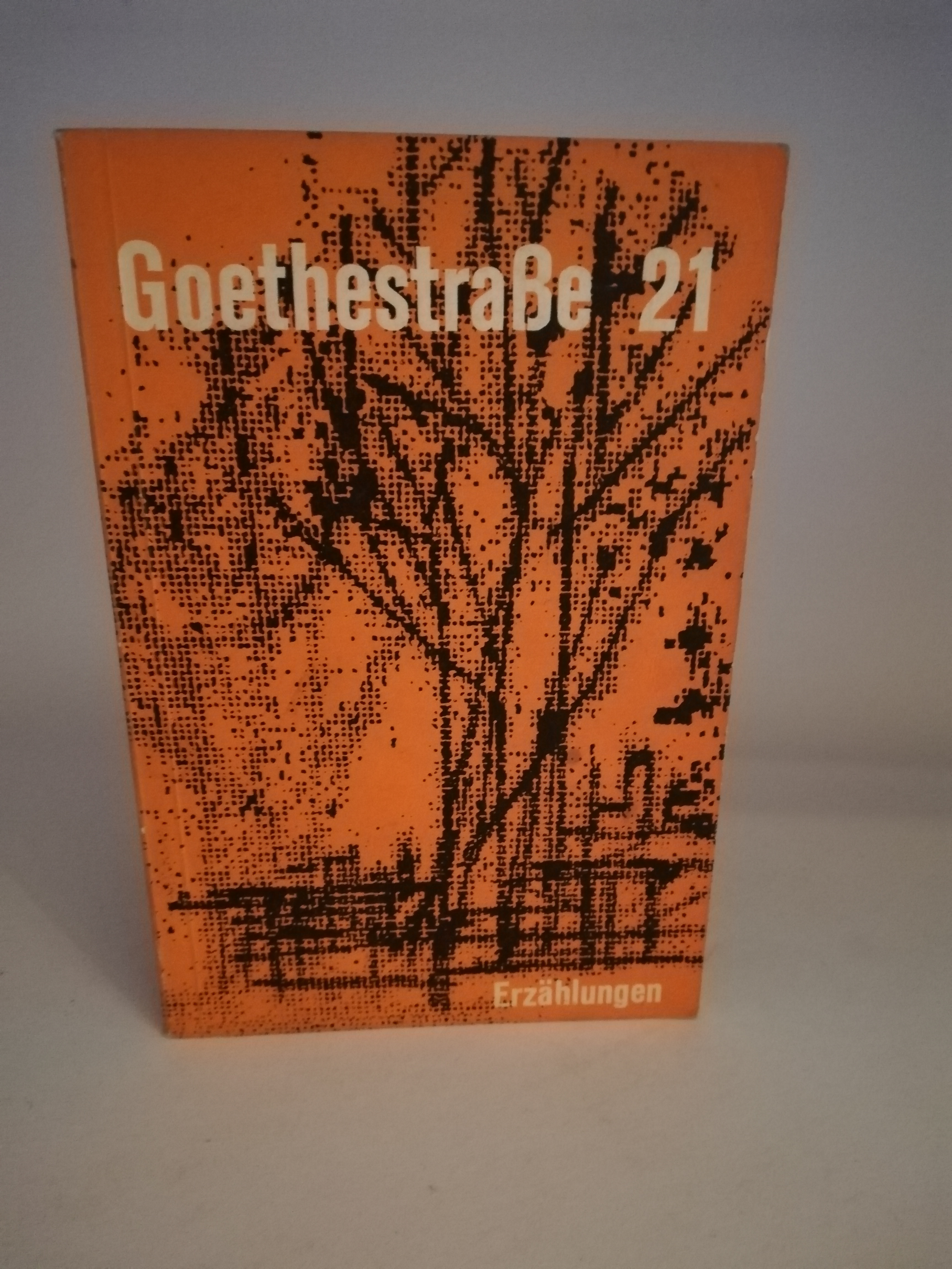   Goethestraße 21. Erzählungen 