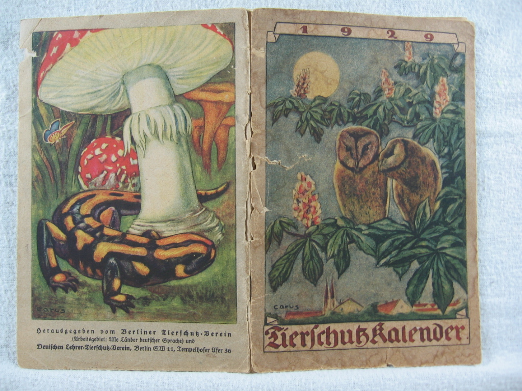   Tierschutz-Kalender 1929. 